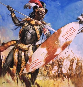 Zulu Warrior